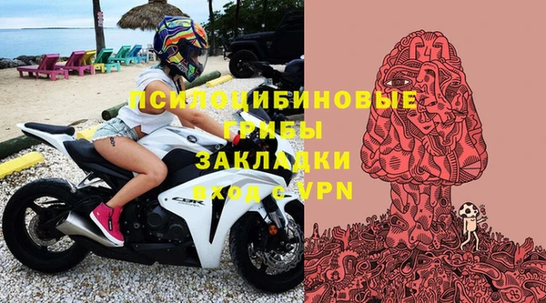 ALPHA PVP Алексеевка
